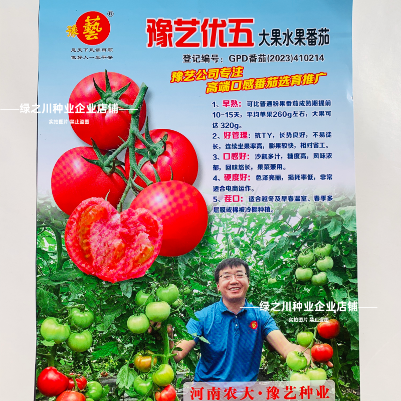 沙瓤西红柿种子豫艺优五番茄种子水果番茄种酸甜好吃抗Ty