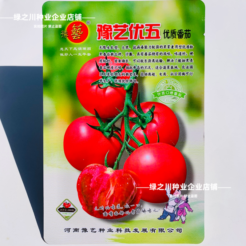 沙瓤西红柿种子豫艺优五番茄种子水果番茄种酸甜好吃抗Ty