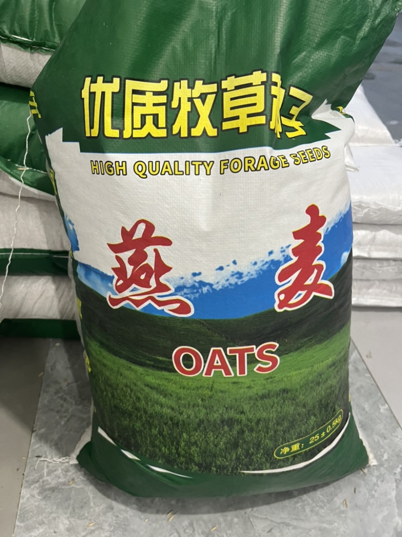 饲用燕麦种子养殖牧草耐寒种籽高产鱼饲料草籽绿肥牛羊草种籽