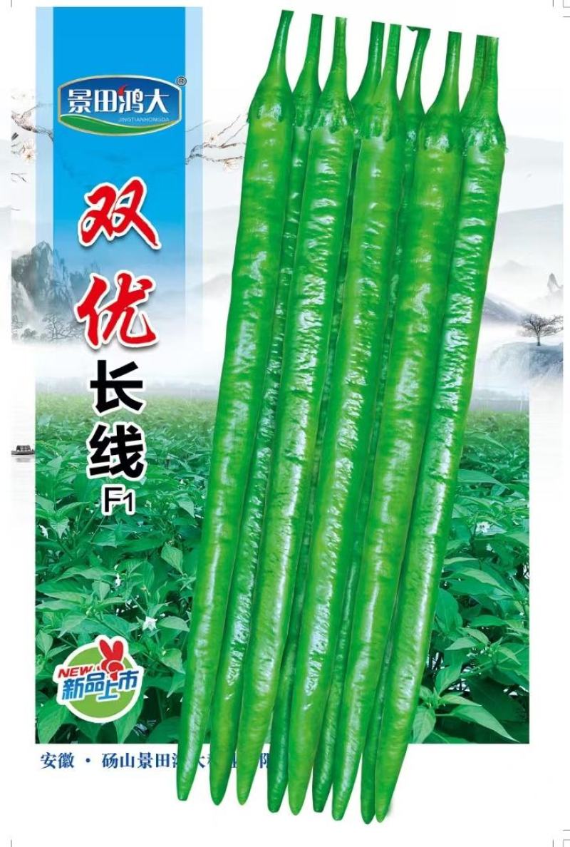 辣椒种子双优长线结果密椒条长顺直