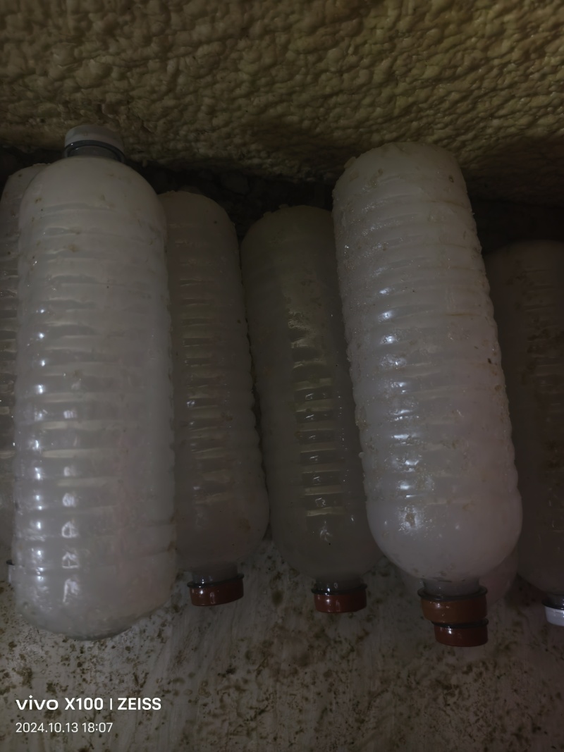 冰瓶，冰瓶，各种规格型号都有，
