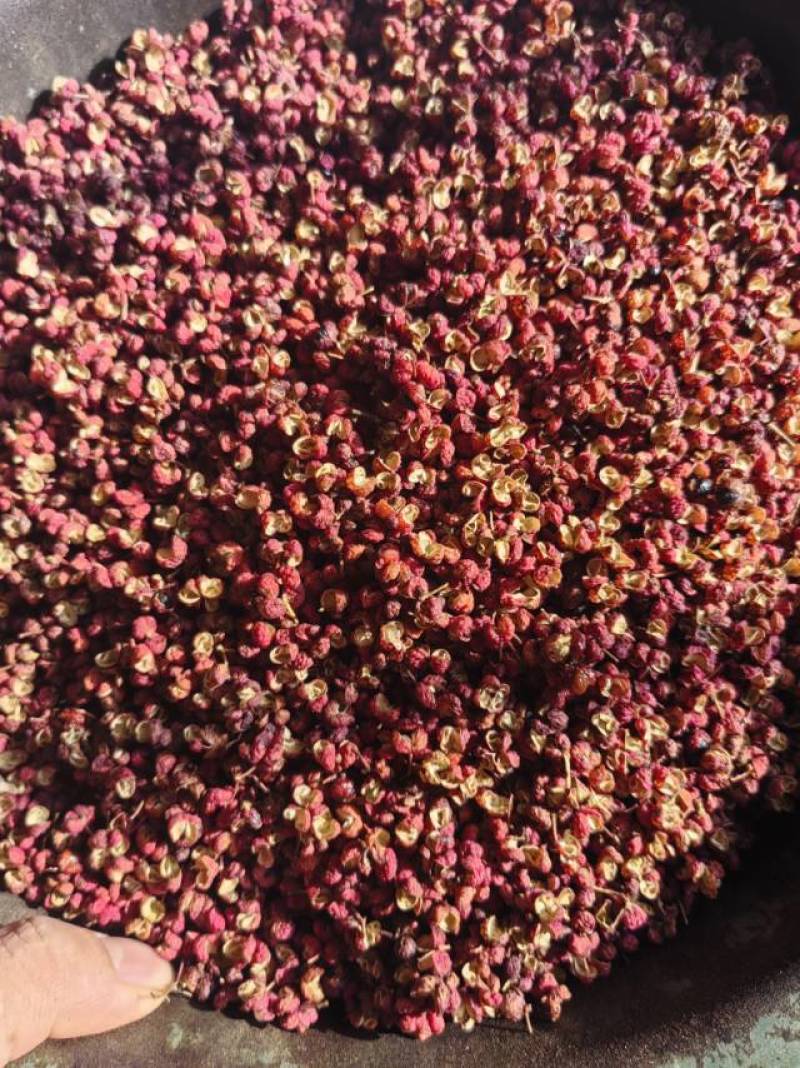 新鲜花椒，香辣鲜美，直供农场，品质保证，**特惠，快来选购！