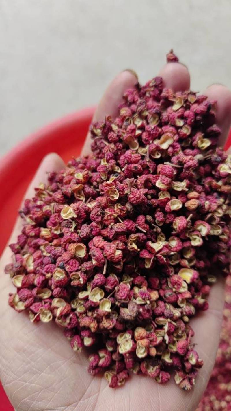 新鲜花椒，香辣鲜美，直供农场，品质保证，**特惠，快来选购！