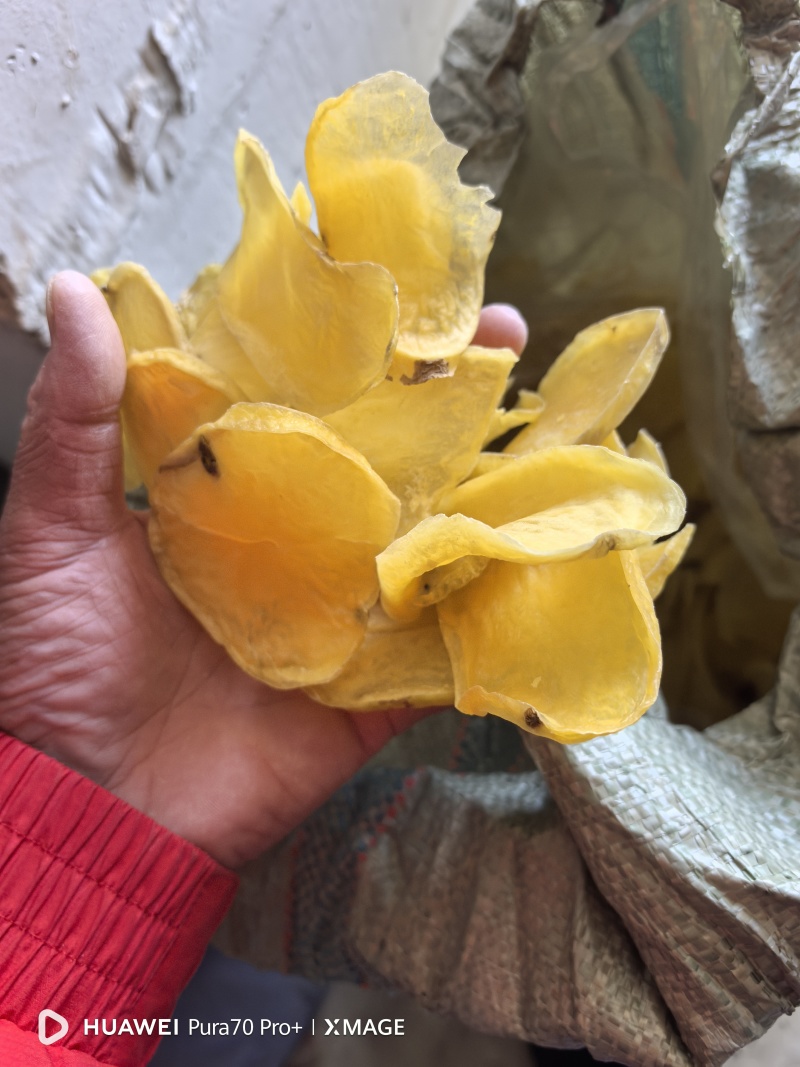 土豆片