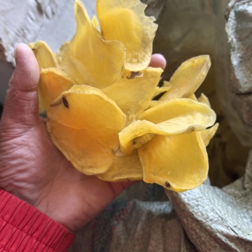 土豆片