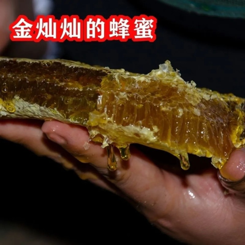 云南中蜂土蜂蜜