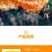 云南中蜂土蜂蜜