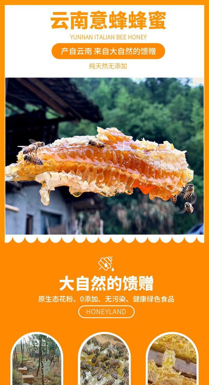 云南中蜂土蜂蜜