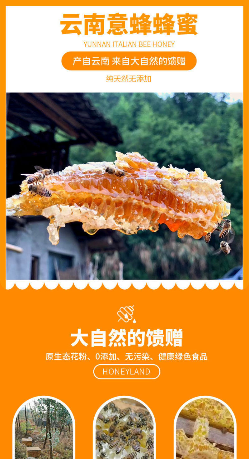 云南中蜂土蜂蜜