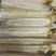 新铁棍小白嘴山药粉糯面开始上市