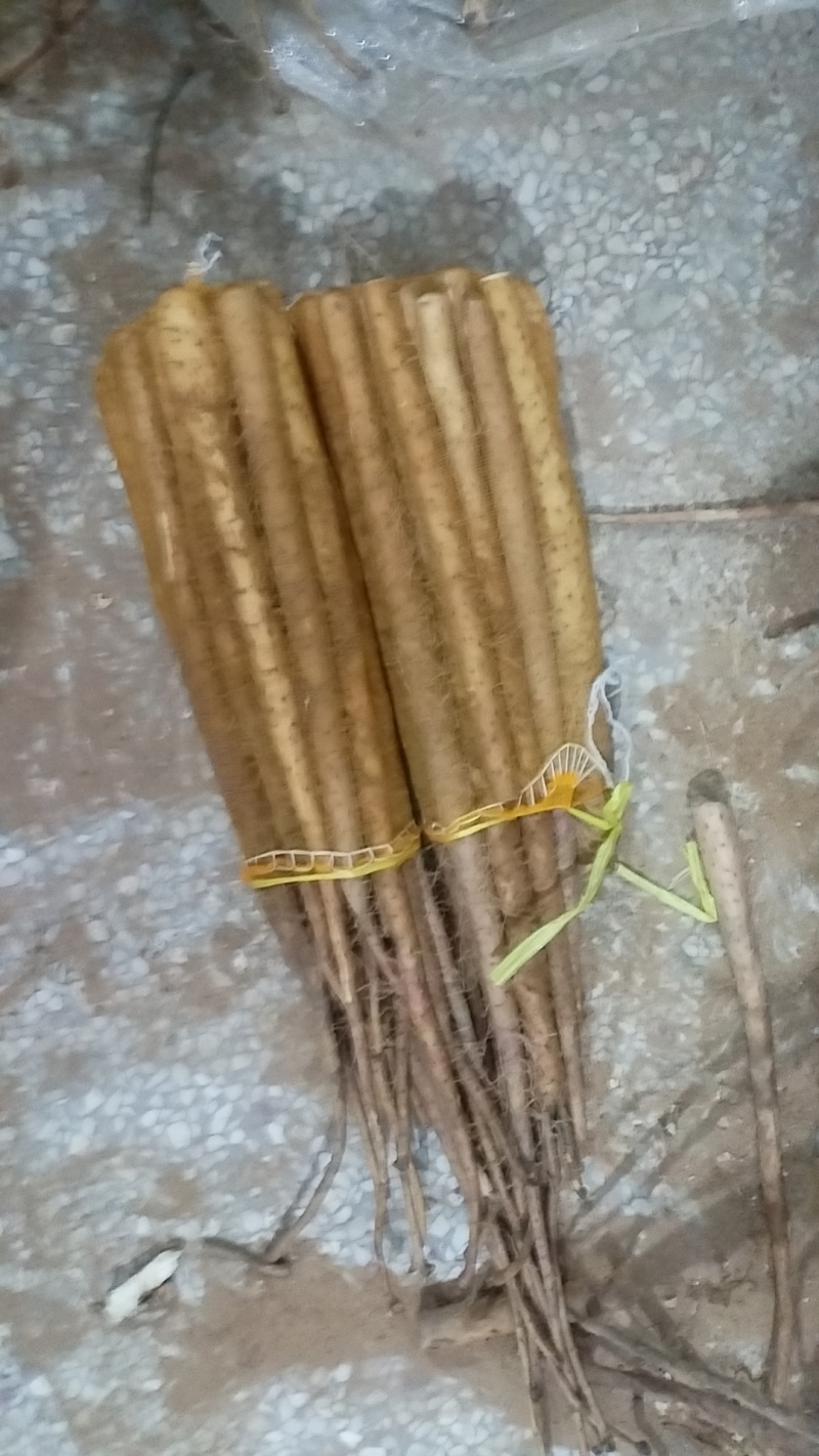 新铁棍小白嘴山药粉糯面开始上市