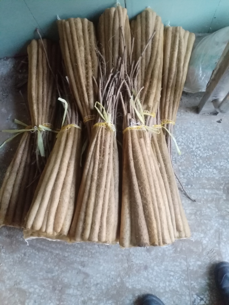 新铁棍小白嘴山药粉糯面开始上市