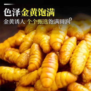 5斤装金丝蚕蛹