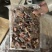 黄鳝鳝鱼杀好切段250克以上