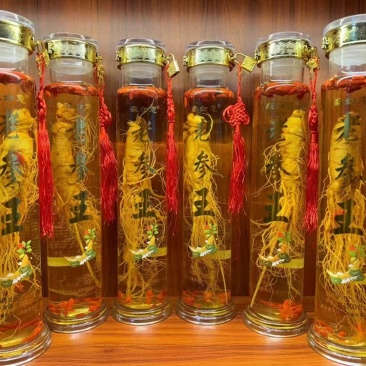 老参王酒装大参用好酒一箱6瓶2斤装瓶批发一件代发包邮