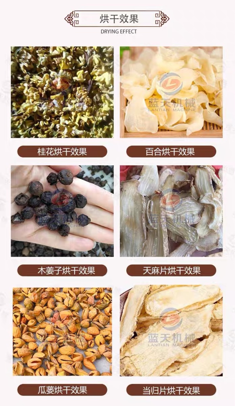 烘干桂花机器广西桂花烘干房无硫食用桂花金桂干桂花茶烤干机