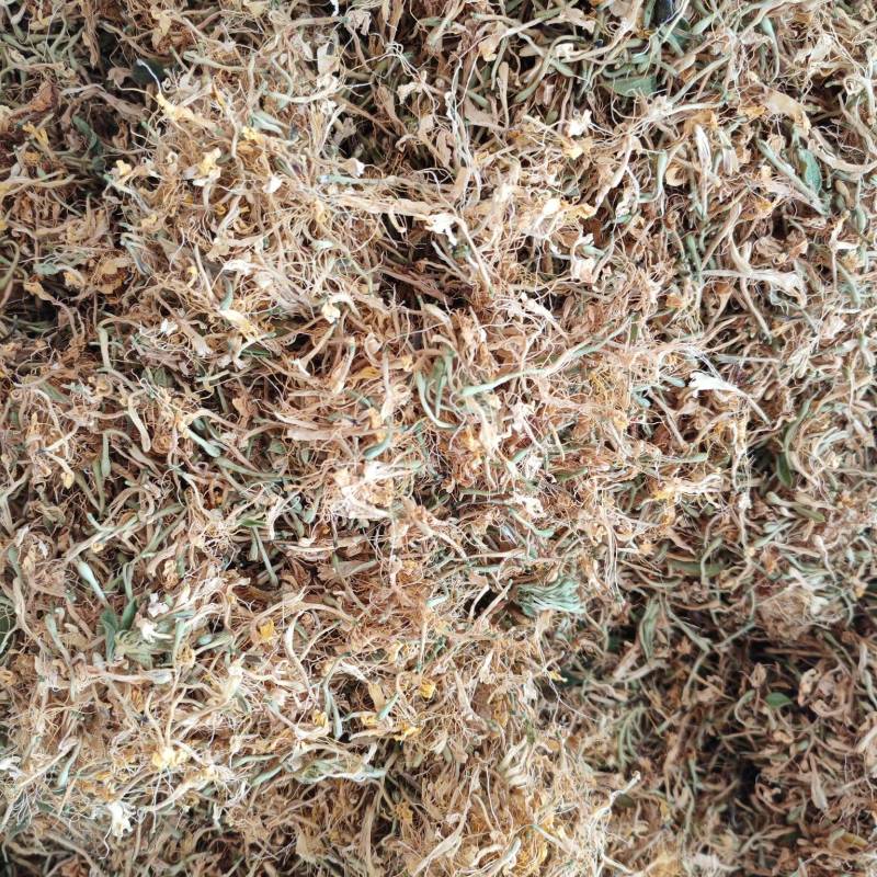 四季金银花花朵，精品货，少叶无枝，无硫。可泡茶，可入药