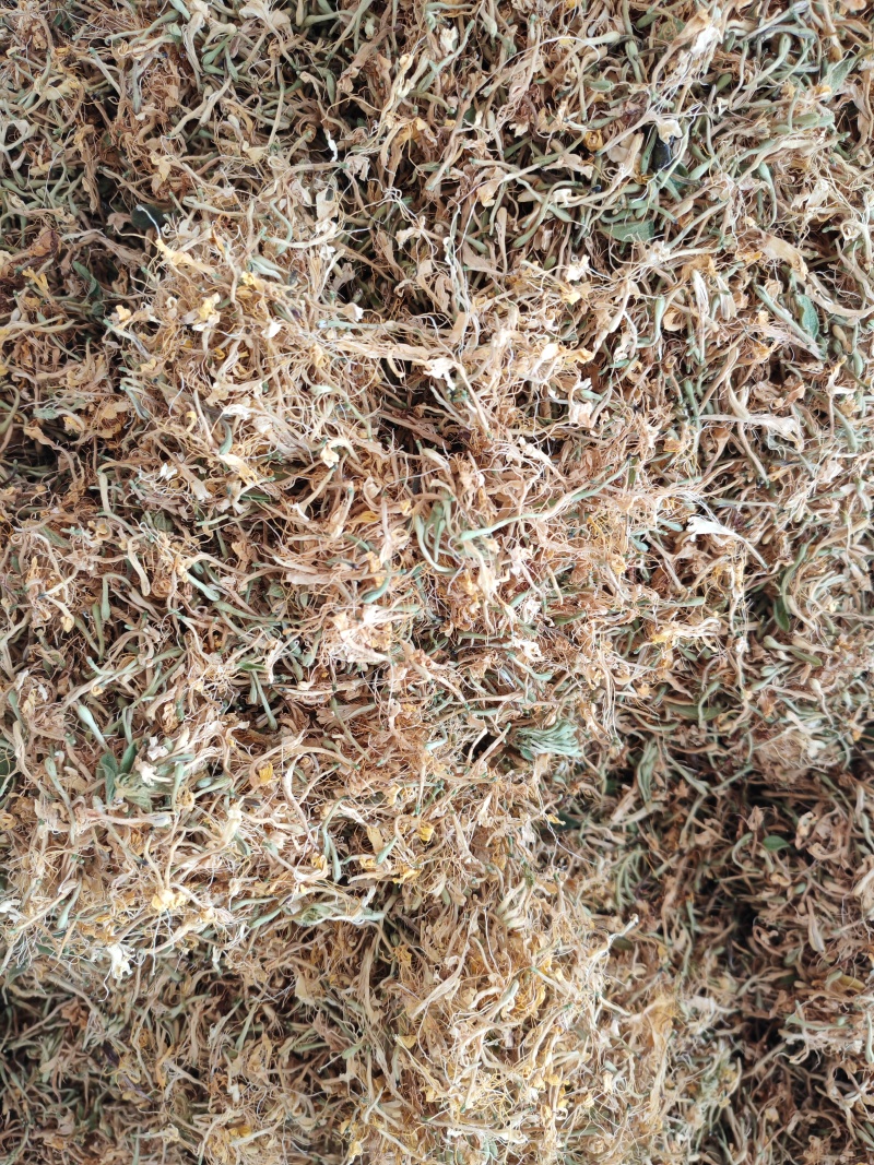 四季金银花花朵，精品货，少叶无枝，无硫。可泡茶，可入药