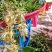 四季金银花花朵，精品货，少叶无枝，无硫。可泡茶，可入药