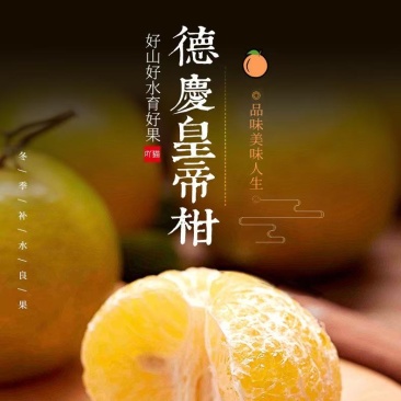 清甜爽口德庆皇帝贡柑