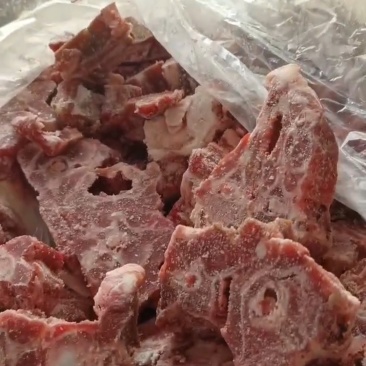 多肉羊蝎子，冷库开箱实拍，天冷了安排个羊蝎子火锅，太安逸