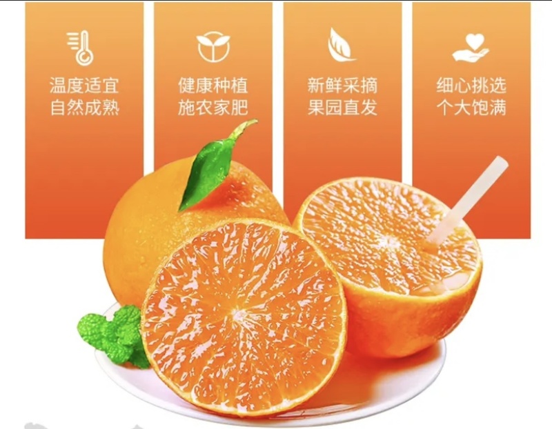 爱媛果冻橙，皮薄肉甜，应季水果现摘现发。一件代发，整车。