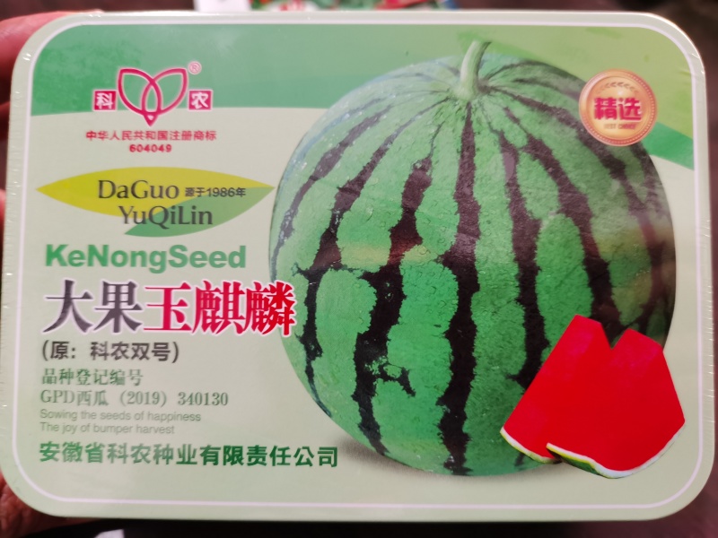 娜美美都新疆吉丰优质多抗西瓜种子