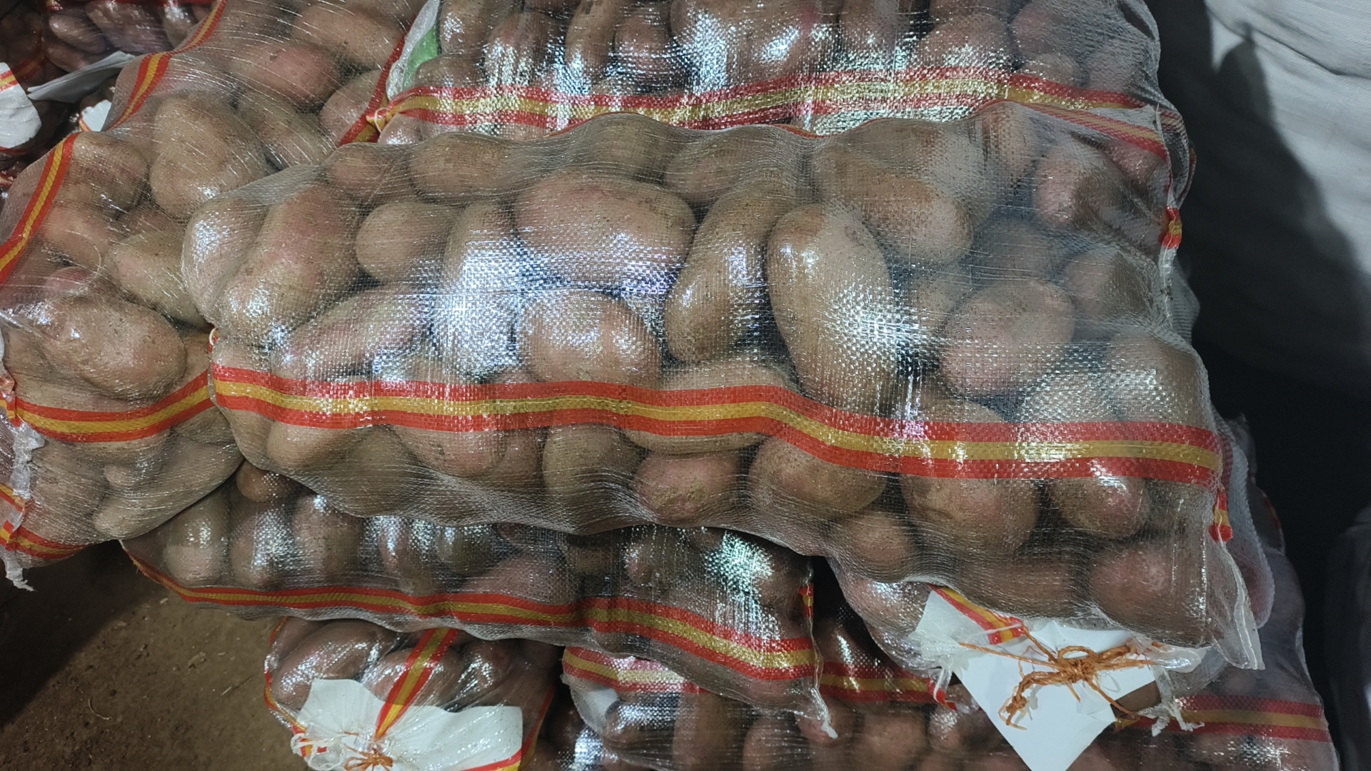 常见糯性土豆品种对比图