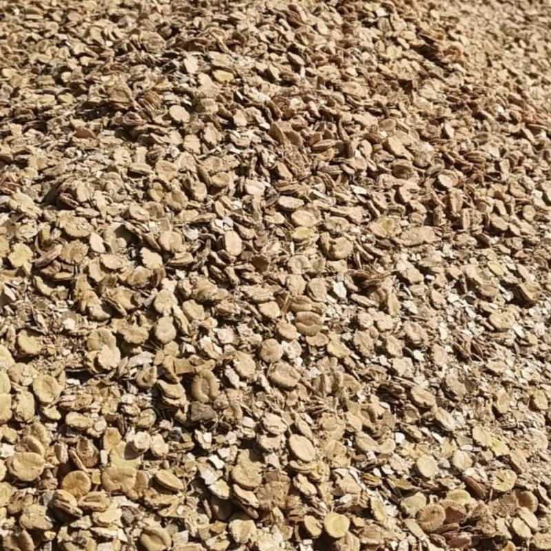 罗汉果渣，