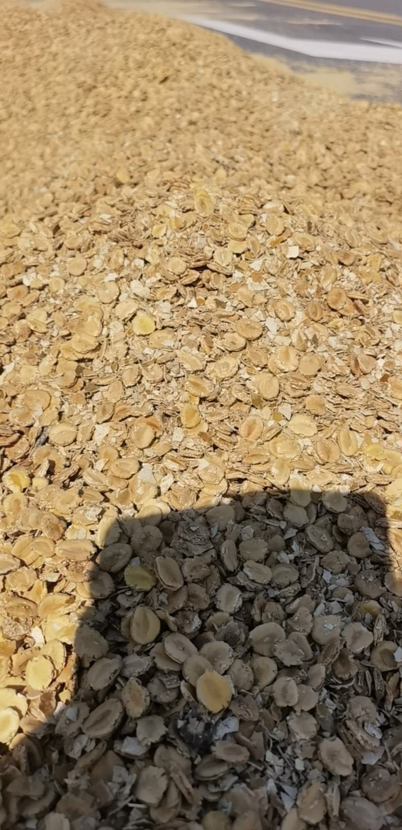 罗汉果渣，