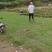 马尼拉草卷基地直供规格品种多样量大从优电联采购