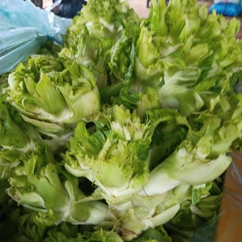儿菜，多子菜，万亩基地，大量供应中，诚信经营，欢