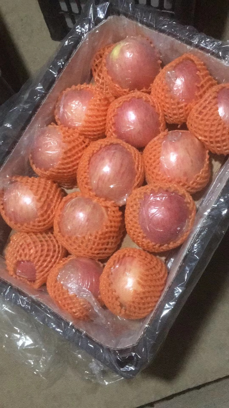灵宝高原红富士，色泽艳丽，口感脆酥脆甜，九成甜一成酸。