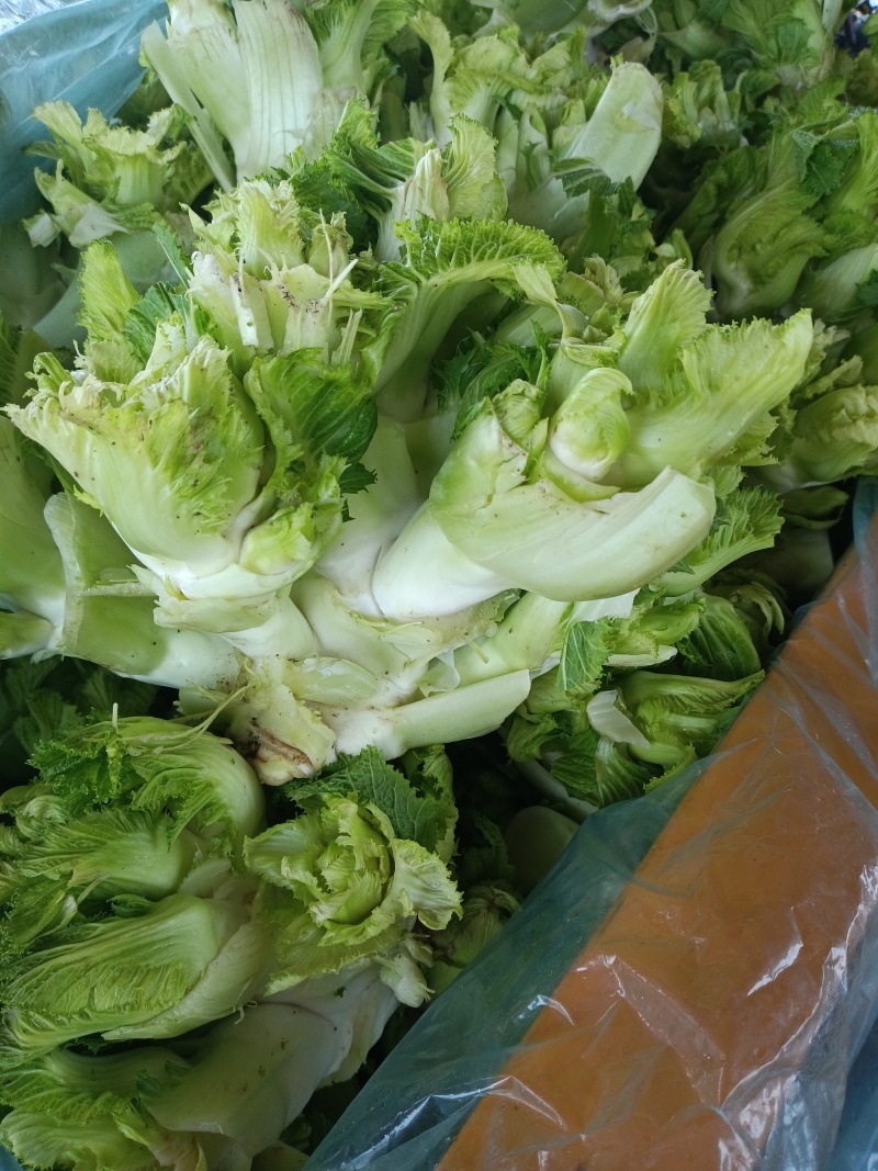 儿菜，多子菜，万亩基地，大量供应中，诚信经营，欢