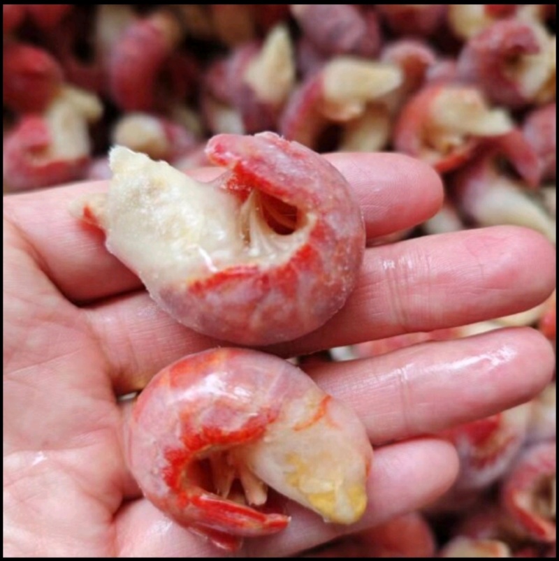 龙虾尾，虾尾肉多一件也是批发价保质保量龙虾尾
