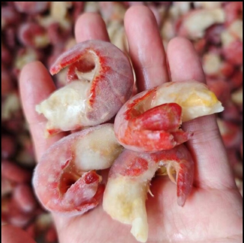 龙虾尾，虾尾肉多一件也是批发价保质保量龙虾尾