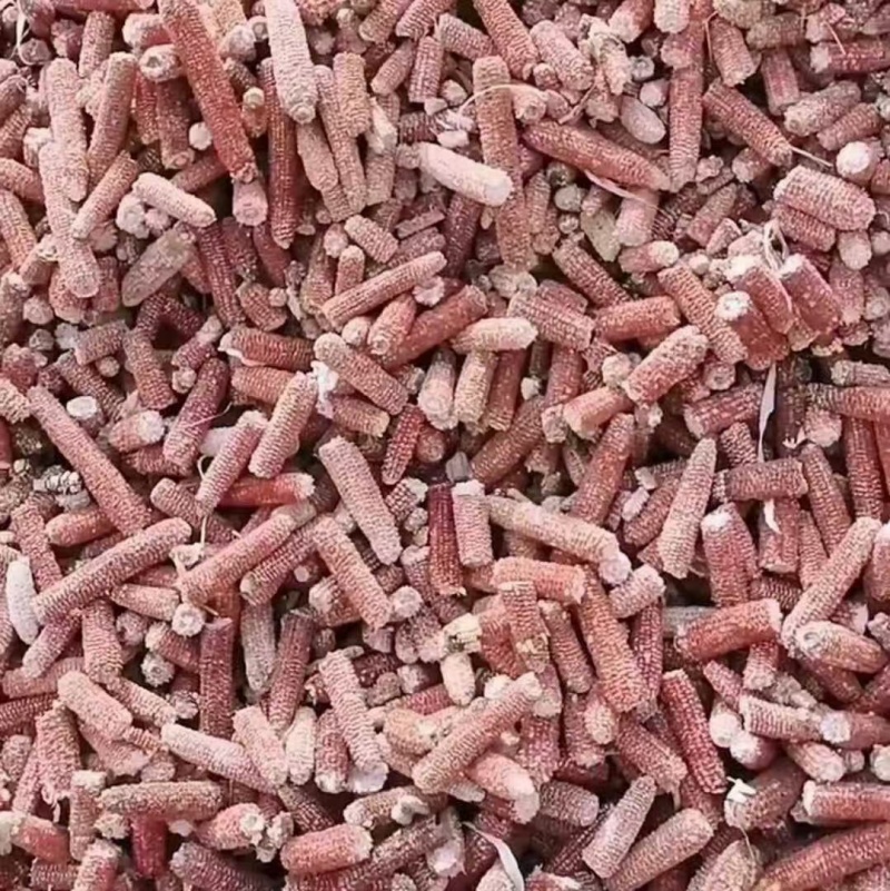 玉米芯，玉米芯颗粒，陕西玉米芯，颗粒