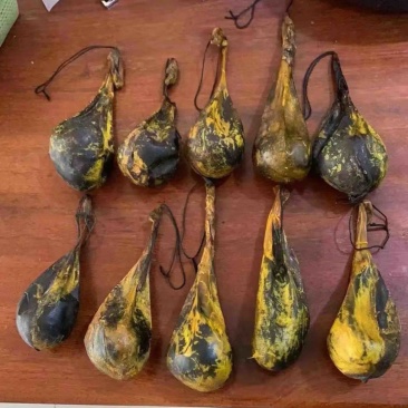 胆黄精品价格便宜