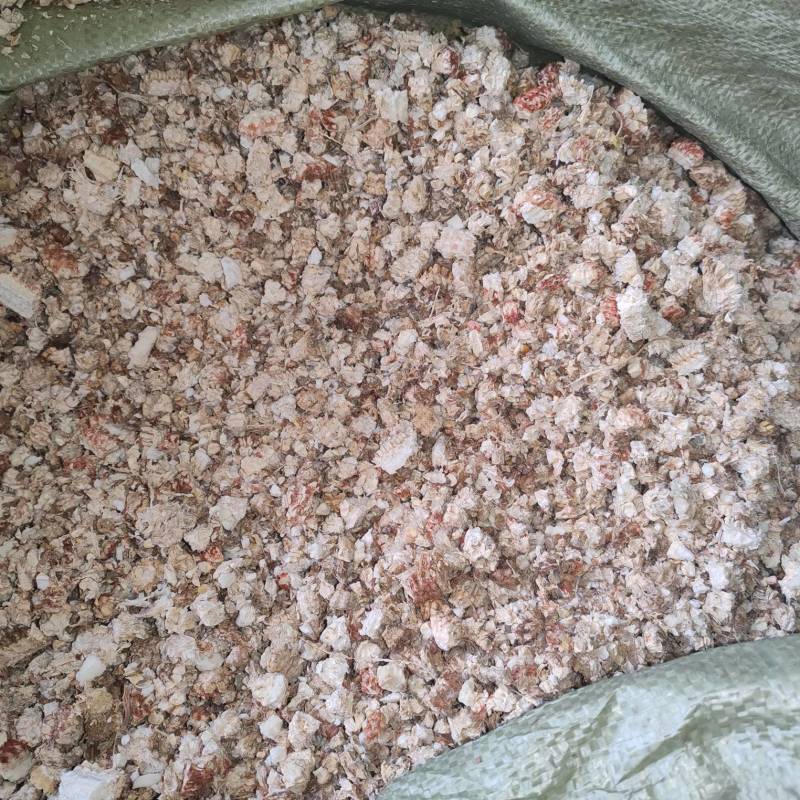 玉米芯