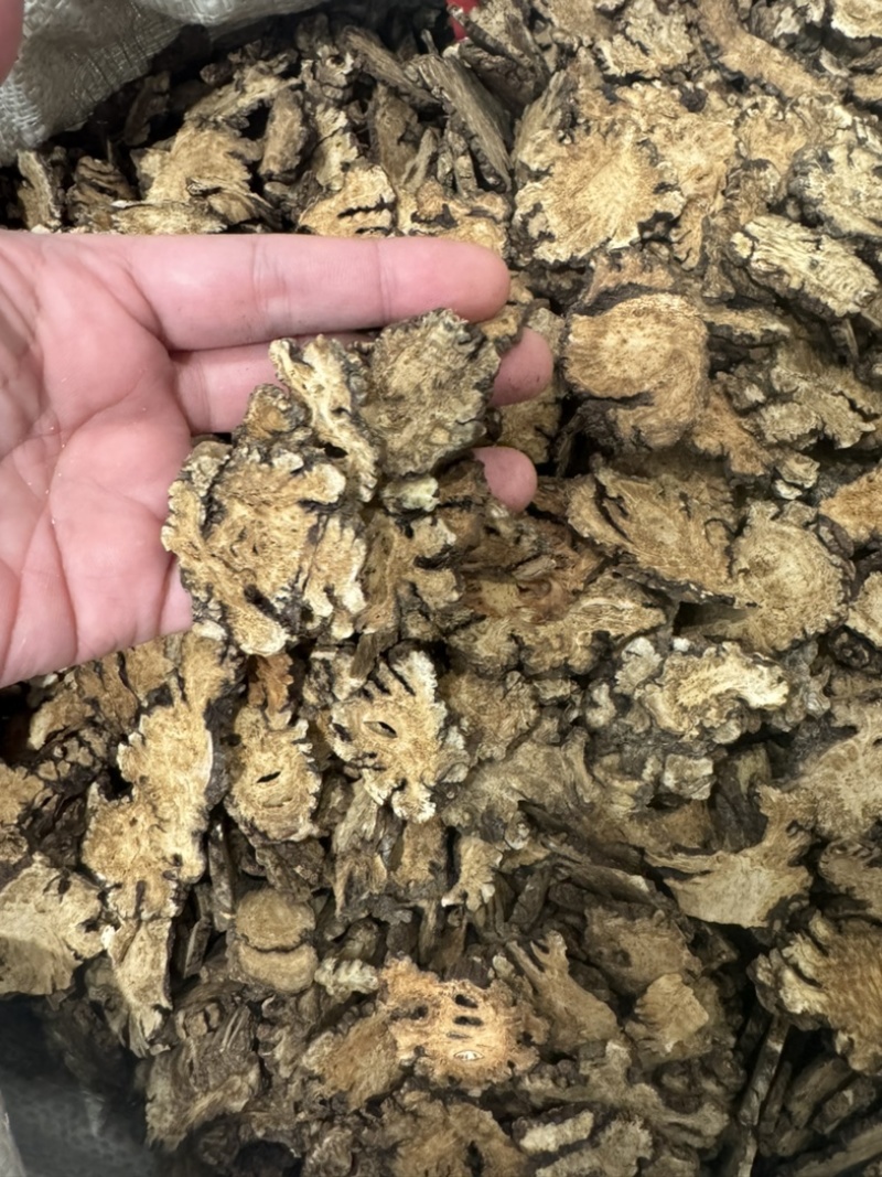 川芎中药材精品质量保证全国批发零售欢迎来电咨询
