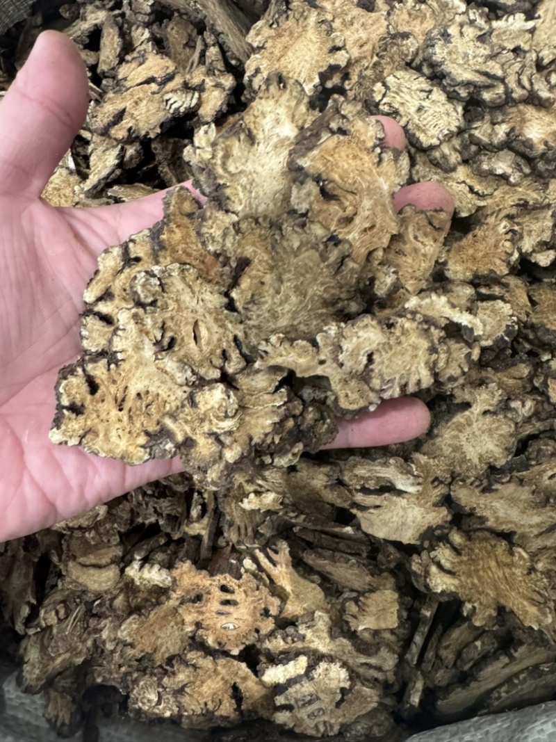 川芎中药材精品质量保证全国批发零售欢迎来电咨询