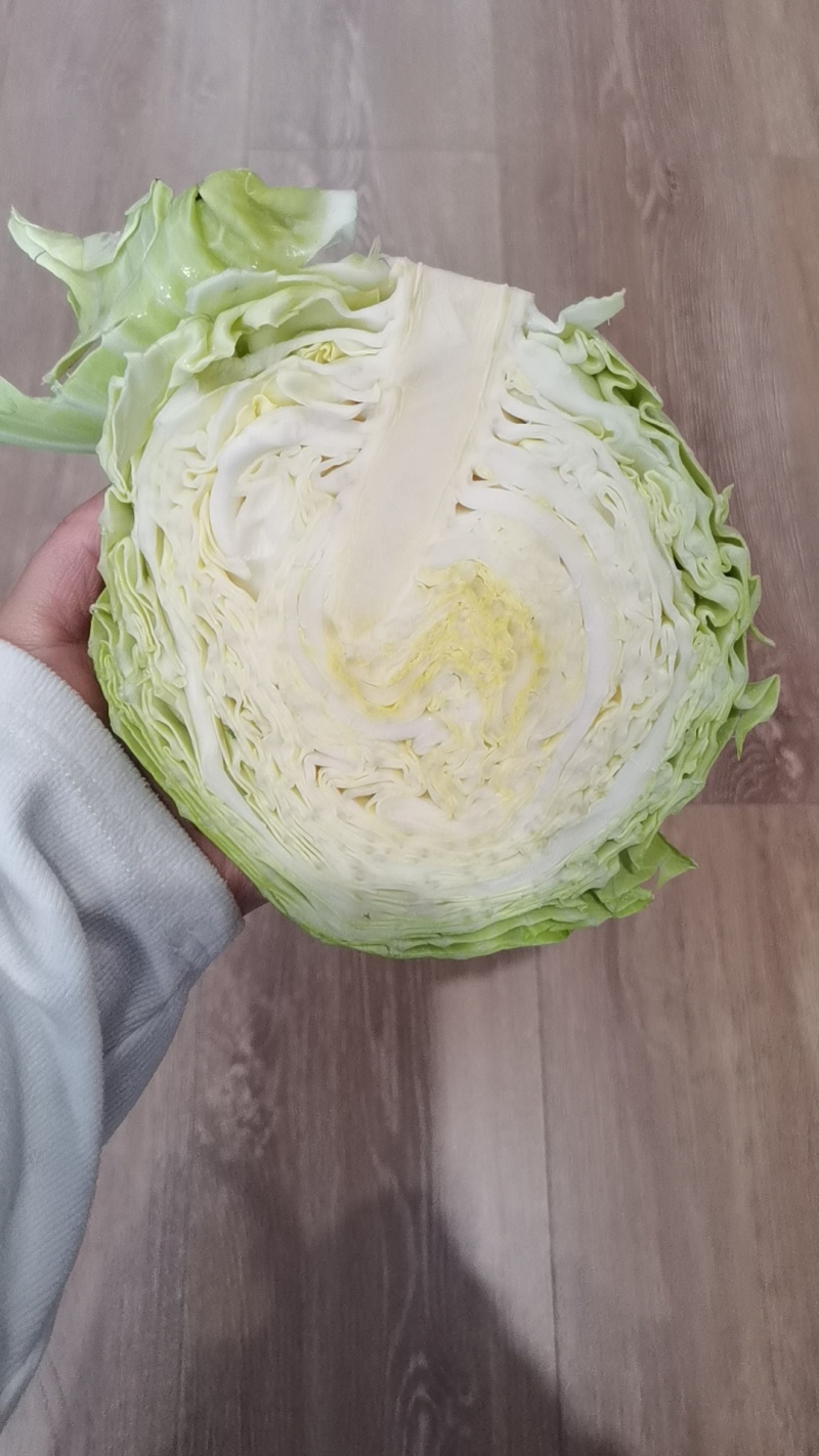 甘蓝，湖北甘蓝，产地直发，大量出货，诚信经营