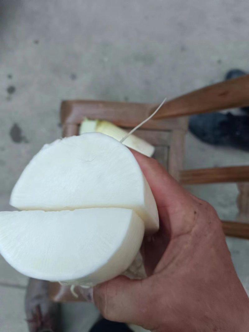 白萝卜，湖北白萝卜，产地直发，大量供应，诚信经营