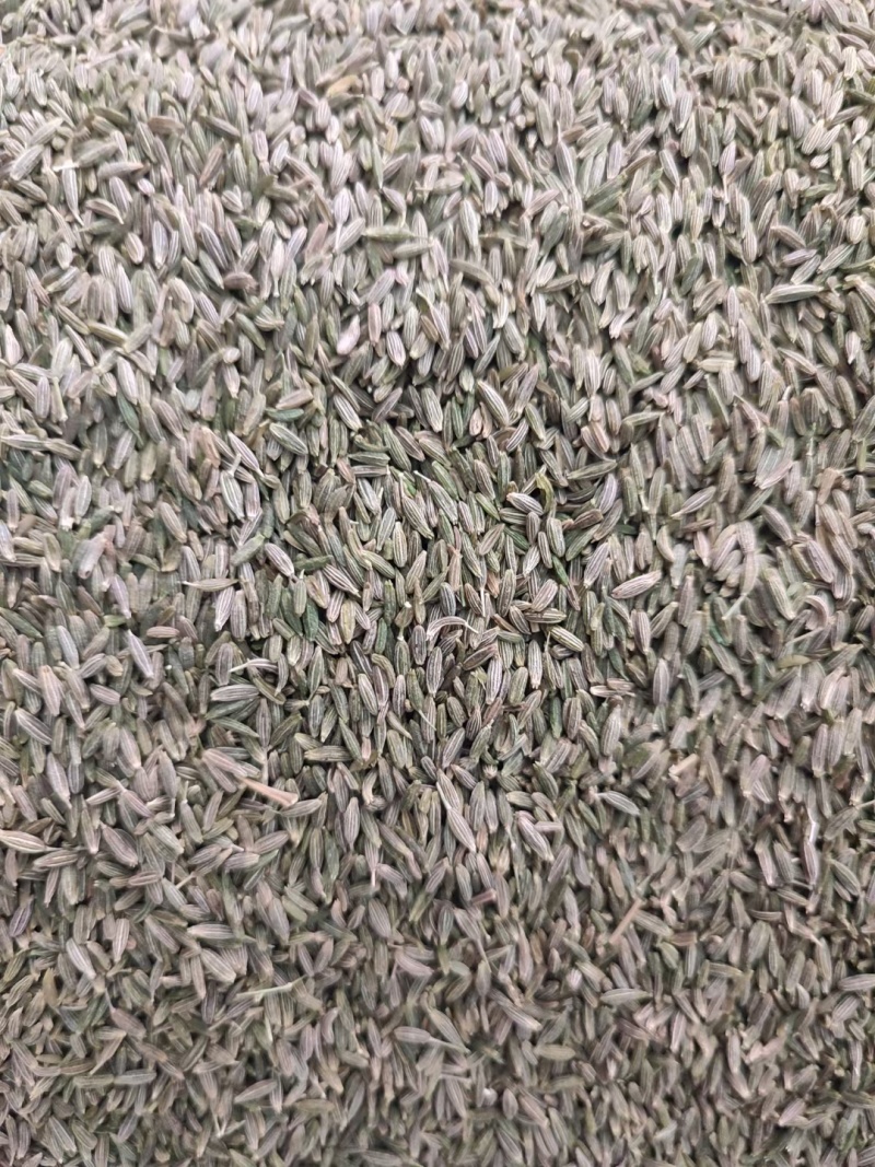 孜然，新疆小巴郎孜然，新疆种植孜然源头种植加工，颗粒饱满