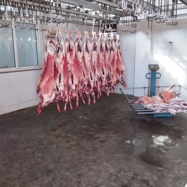 山羊肉