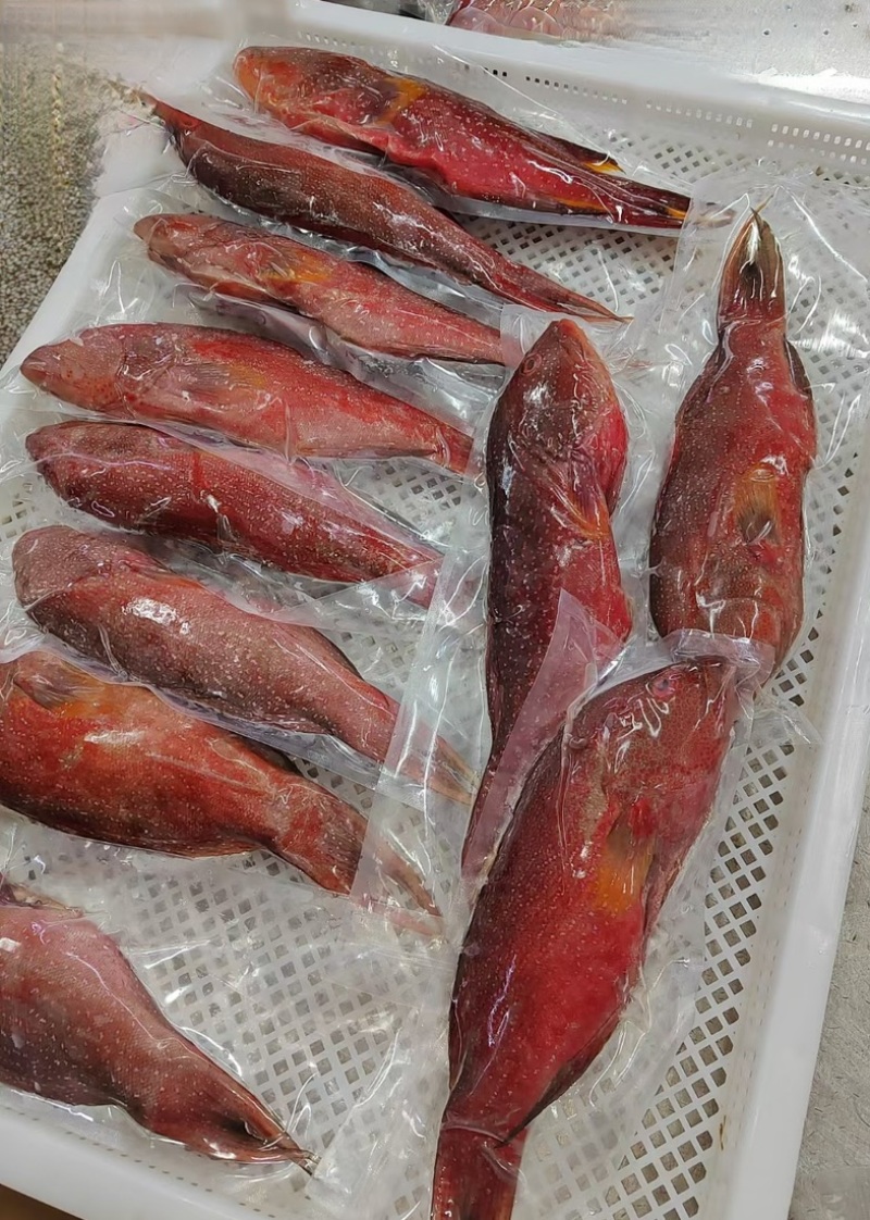 燕尾班