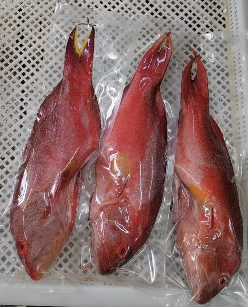 燕尾班
