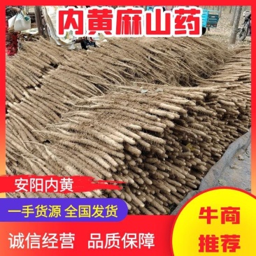 【推荐】安阳麻山药一手货源供应市场商超电商量大价优