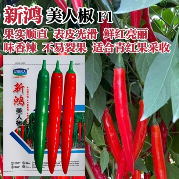 新鸿美人椒种子香辣顺直光滑美人辣椒种籽高产青红辣椒种子产