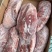 肥猪2号肉卷